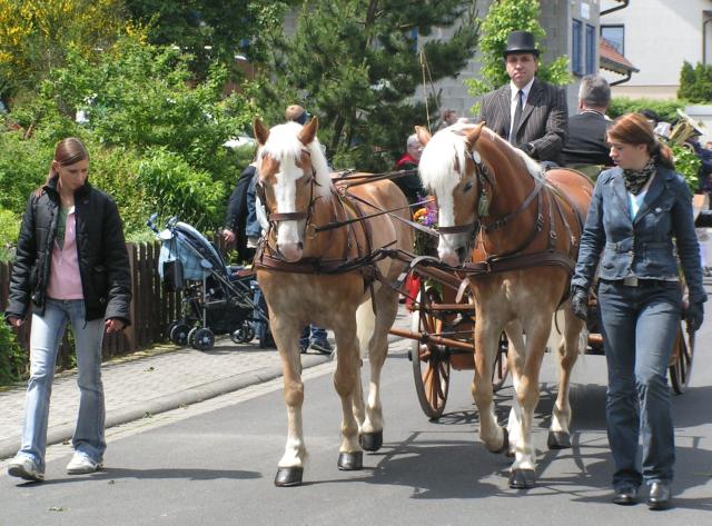 zug08.JPG.jpg